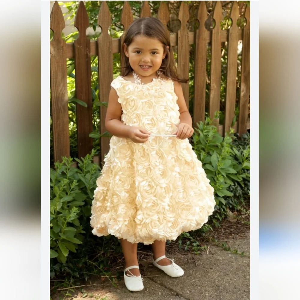 Flower Girl Dress, Roses Gold , PartyDres size 8 - Picture 2 of 14